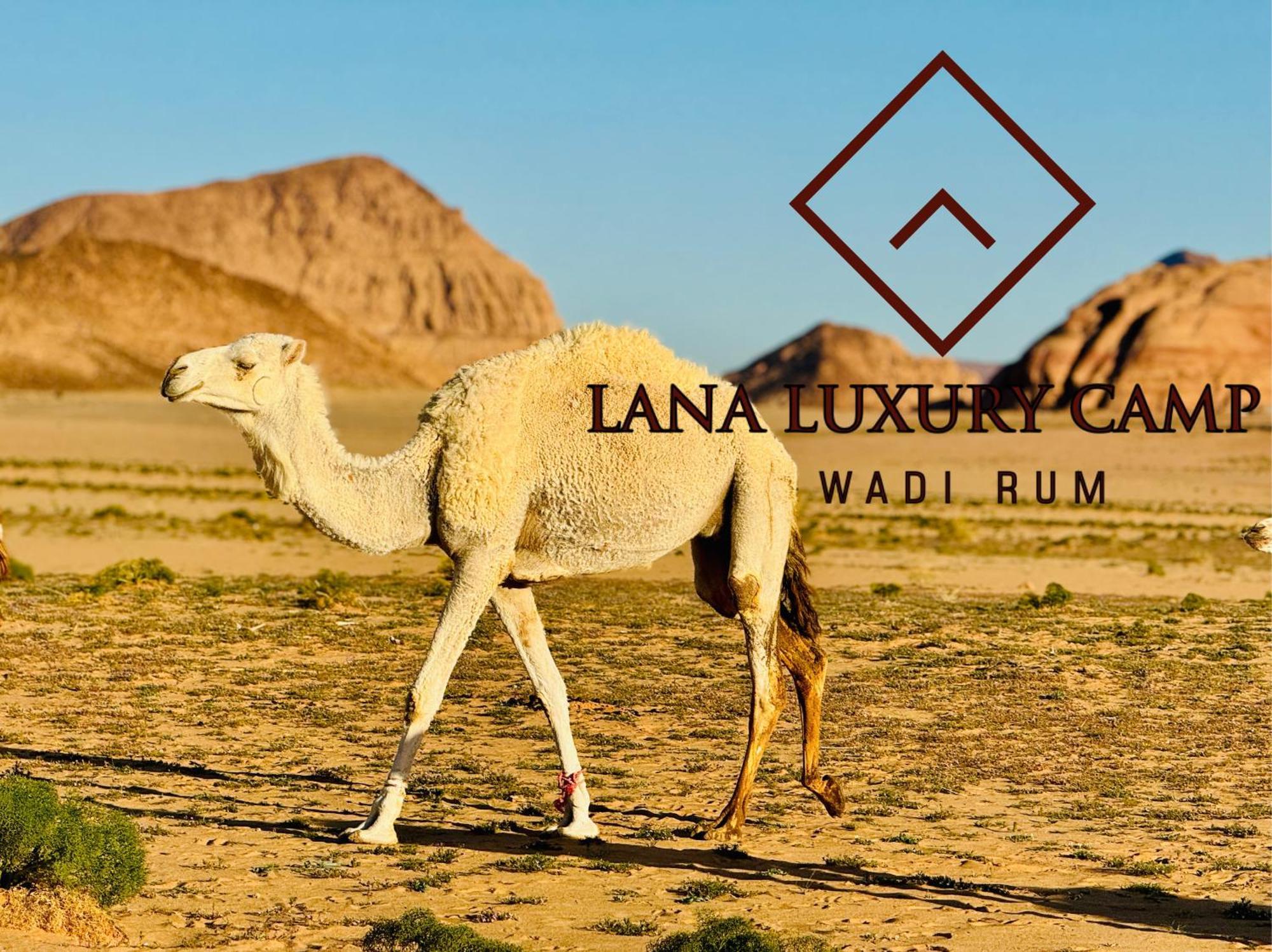 Lana Luxury Camp Wadi Rum